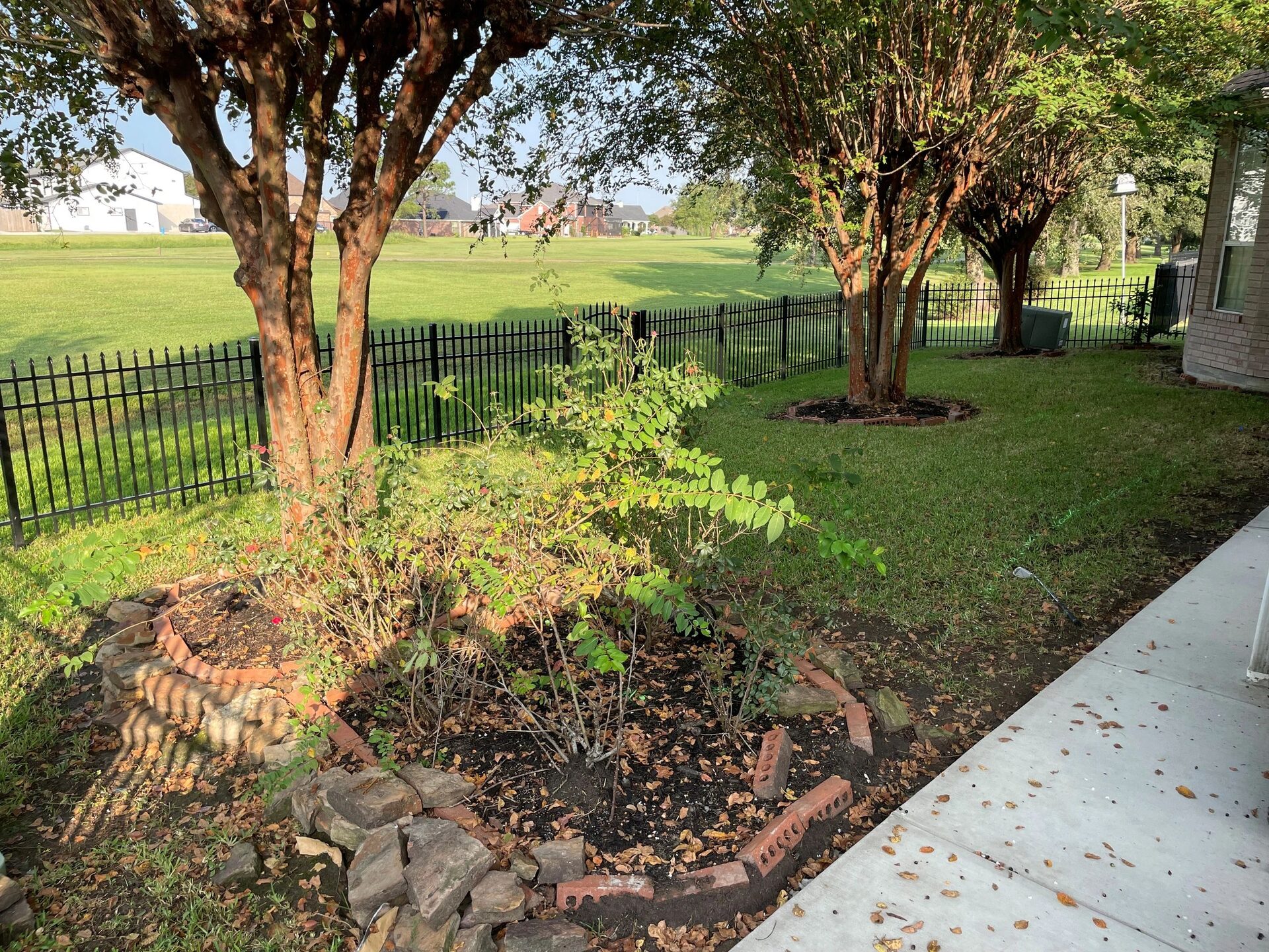 Mo's House, overgrown side yard with crumbling beds